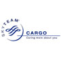 Skyteam Cargo